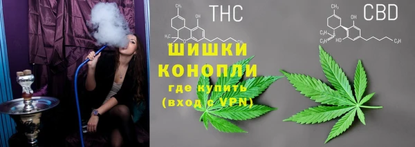 молекула духа Балахна