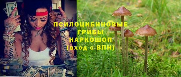 молекула духа Балахна