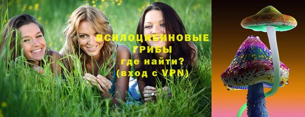 молекула духа Балахна