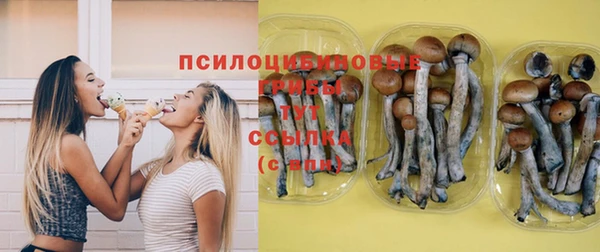 молекула духа Балахна