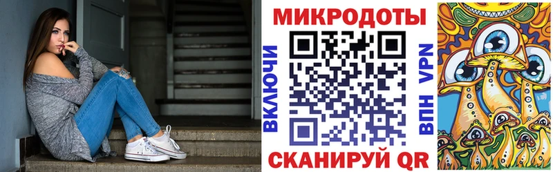 закладки  Новокубанск  Псилоцибиновые грибы Psilocybine cubensis 