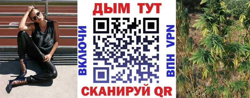 Конопля VHQ Новокубанск